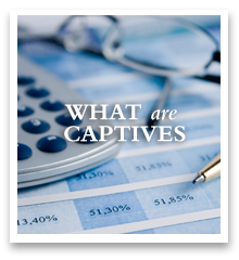 What Are Captives?